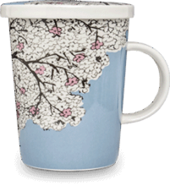 images/productimages/small/489-bloesem-2.png