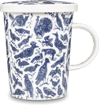 images/productimages/small/494-vogels-blauw-2.png