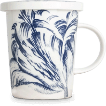 images/productimages/small/499-bloem-2.png