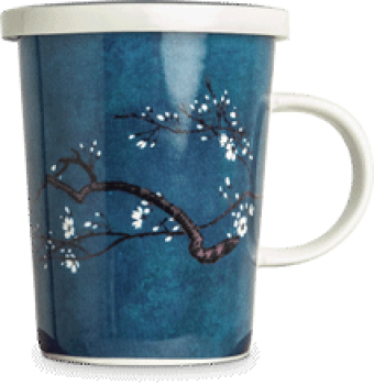 images/productimages/small/500-magnolia-blauw-2.png